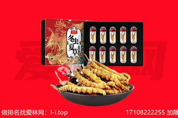 吕梁市回收虫草.jpg